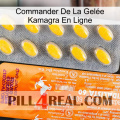 Commander De La Gelée Kamagra En Ligne new05